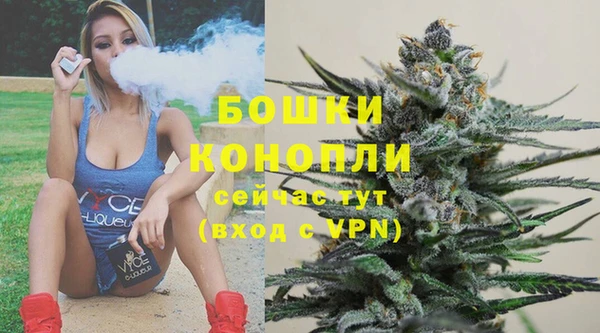 PSILOCYBIN Россошь