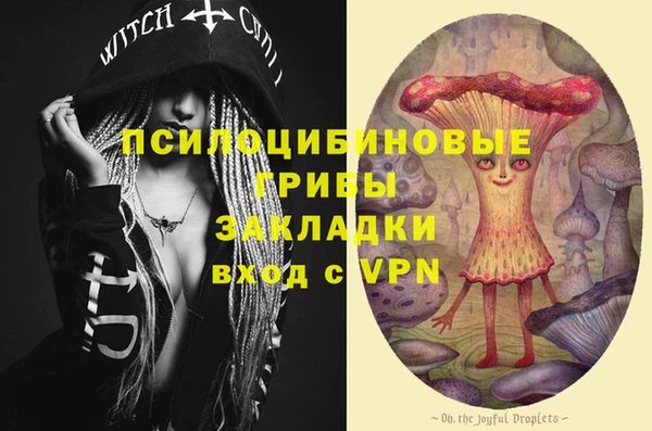 трава Арсеньев