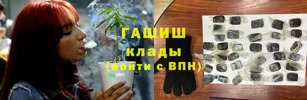 сатива Алзамай